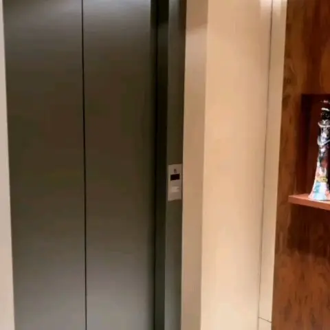 Elevador revestido